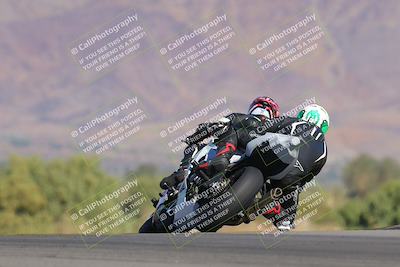 media/Nov-12-2023-SoCal Trackdays (Sun) [[5d1fba4e7d]]/Turn 9 Backside (1015am)/